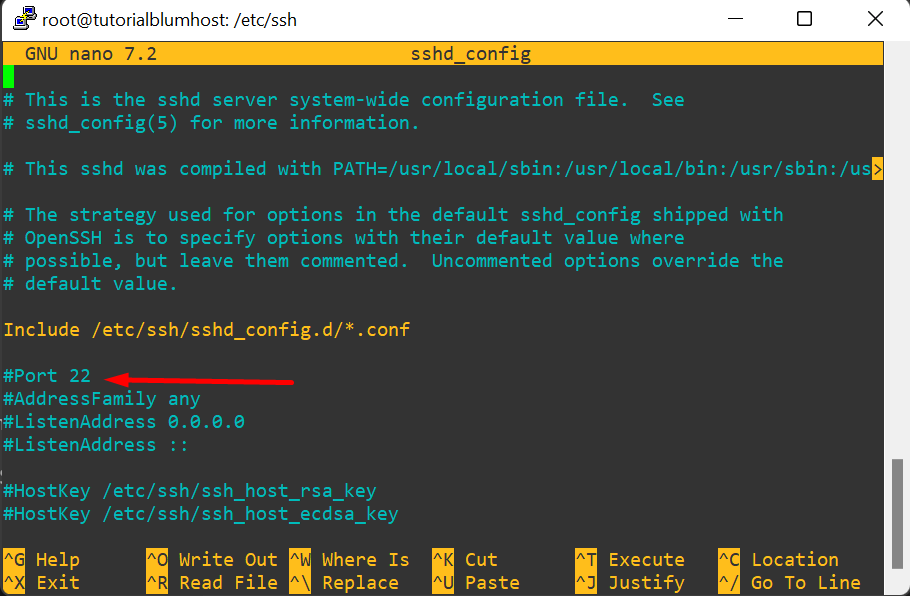 Configuración del archivo SSH