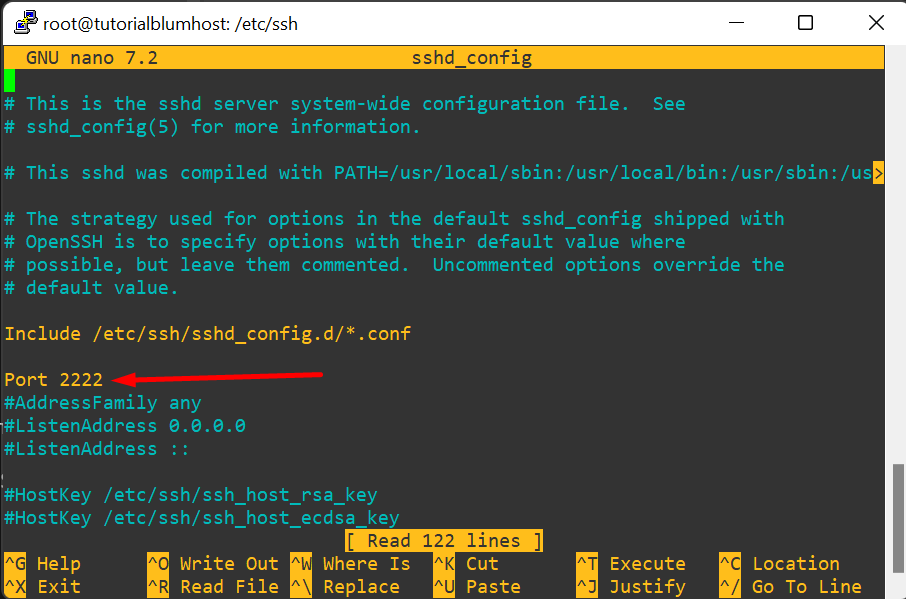 Configuración puerto SSH VPS BlumHost